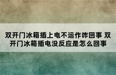 双开门冰箱插上电不运作咋回事 双开门冰箱插电没反应是怎么回事